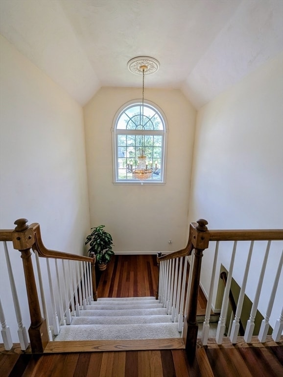 Building Photo - 52 Palomino Dr
