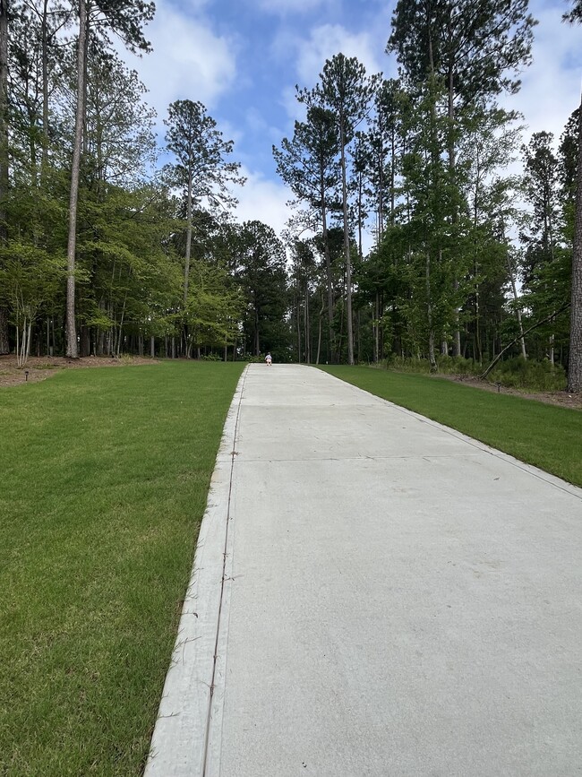 Building Photo - 1031 Pinehurst Dr