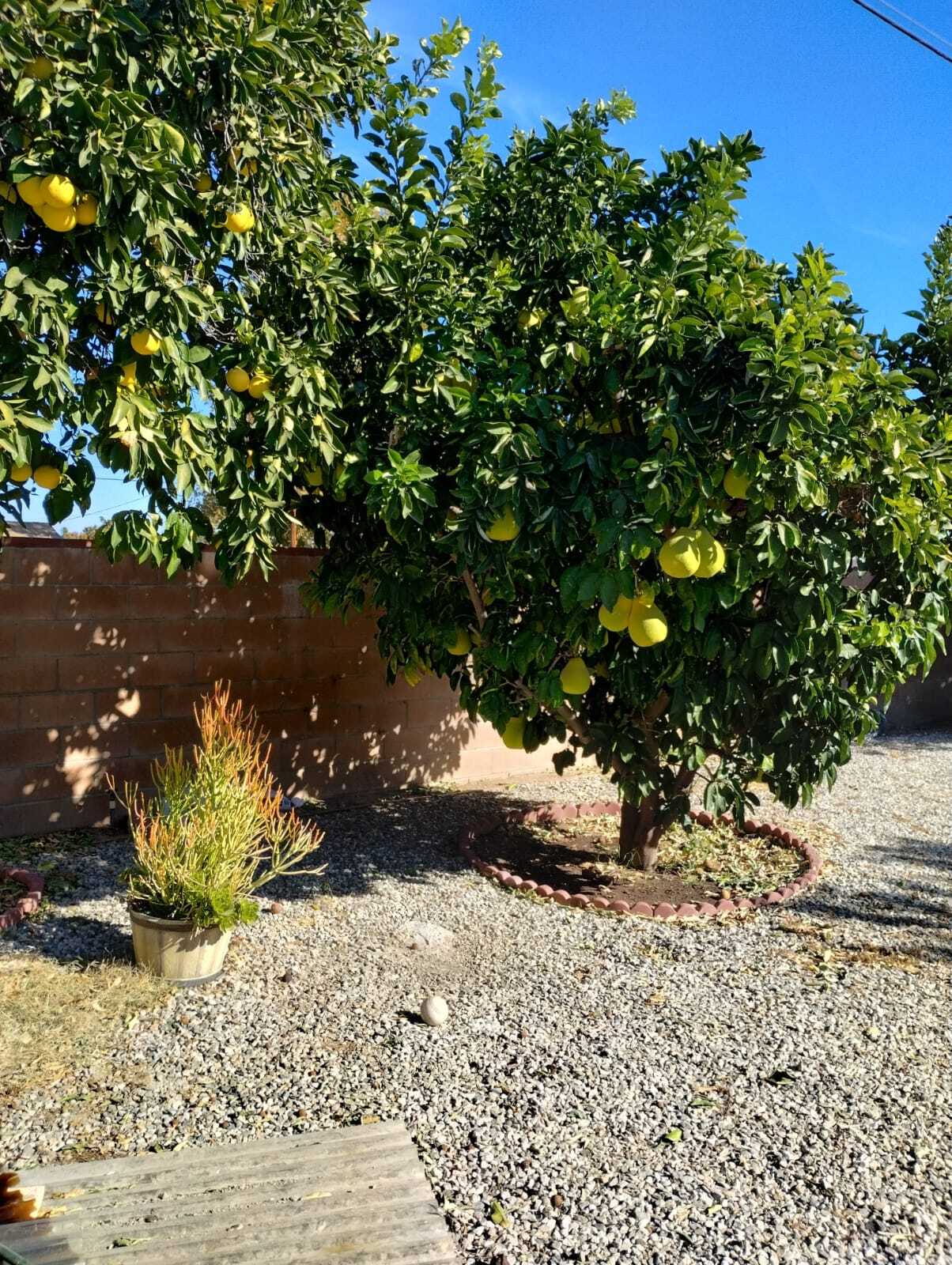 Building Photo - 7800 Fairchild Ave