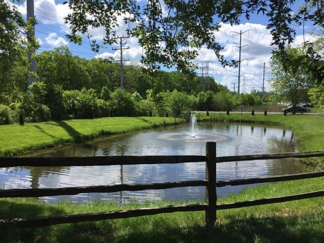 Building Photo - Hinkston Pond Apartments