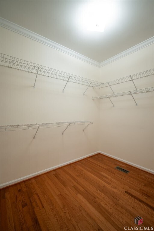 Building Photo - 1030 Laurel Springs Ct