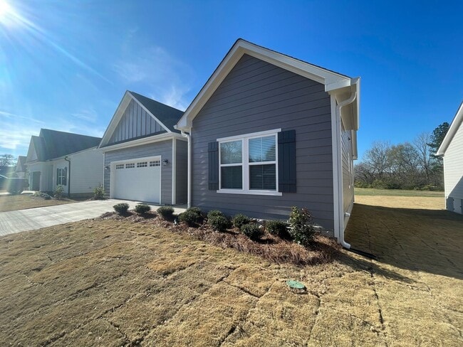 Building Photo - Brand New 3/2 House in Celanese- $1,995