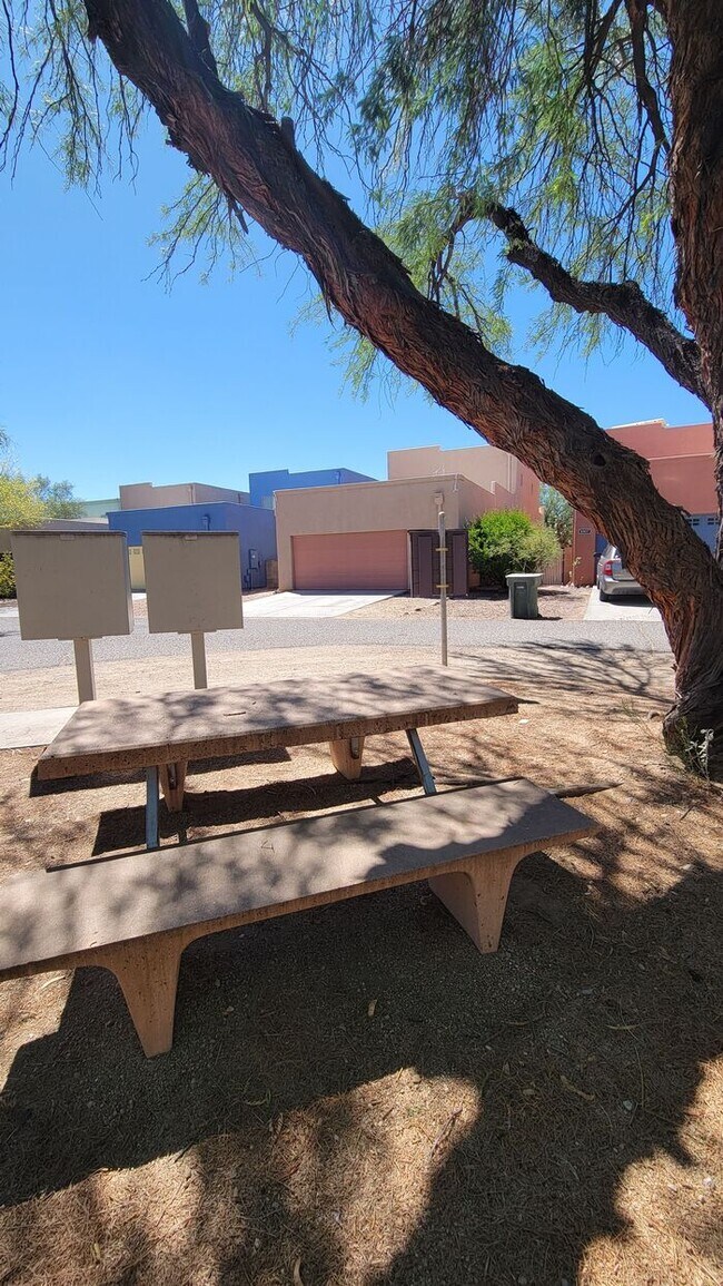Building Photo - Pet friendly Civano home