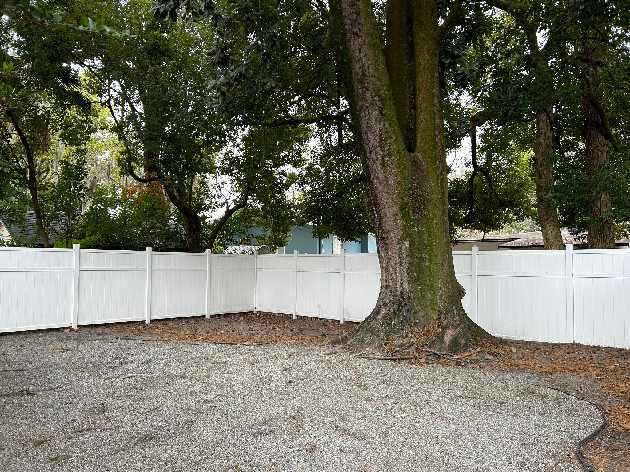 Building Photo - 2114 Arcadia Pl