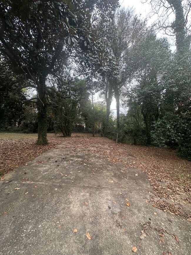 Building Photo - 3 bedroom 1 bath cozy home!