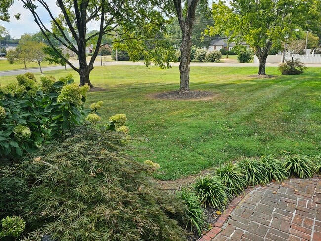 Building Photo - 3210 N Ocoee St