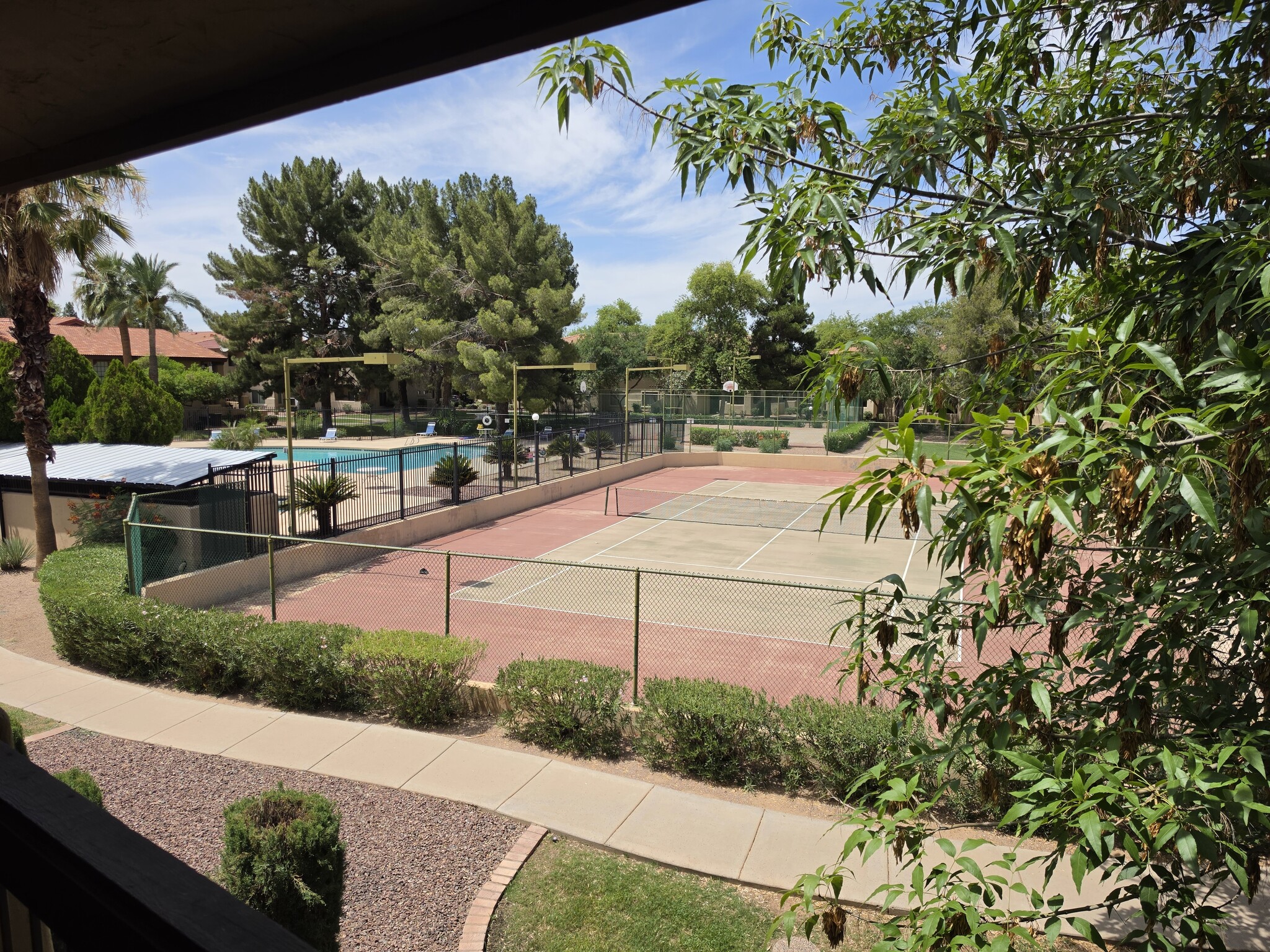 View from Patio - 1351 N Pleasant Dr