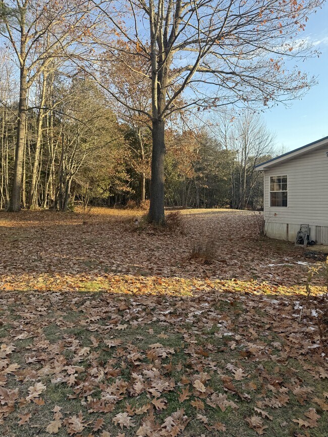 Building Photo - 91 Heath St