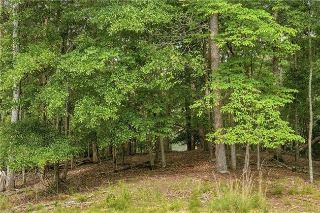 Building Photo - 4219 Merlin Pass