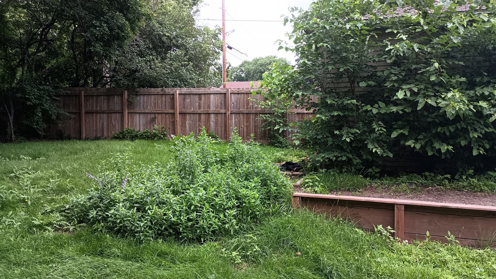 Building Photo - 1801 S Spring Ave