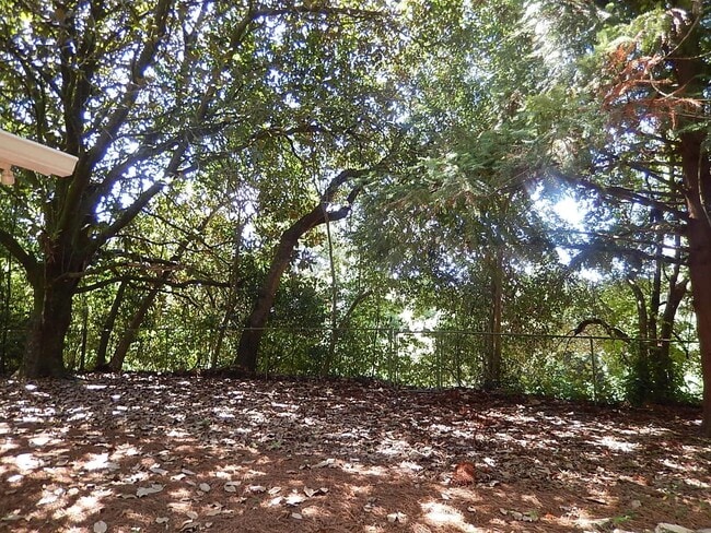 Building Photo - 1529 Elberta Dr