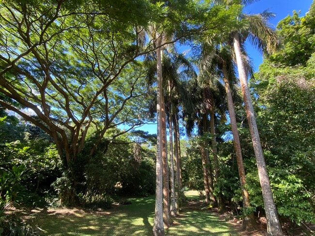 Building Photo - 630 E Kuiaha Rd