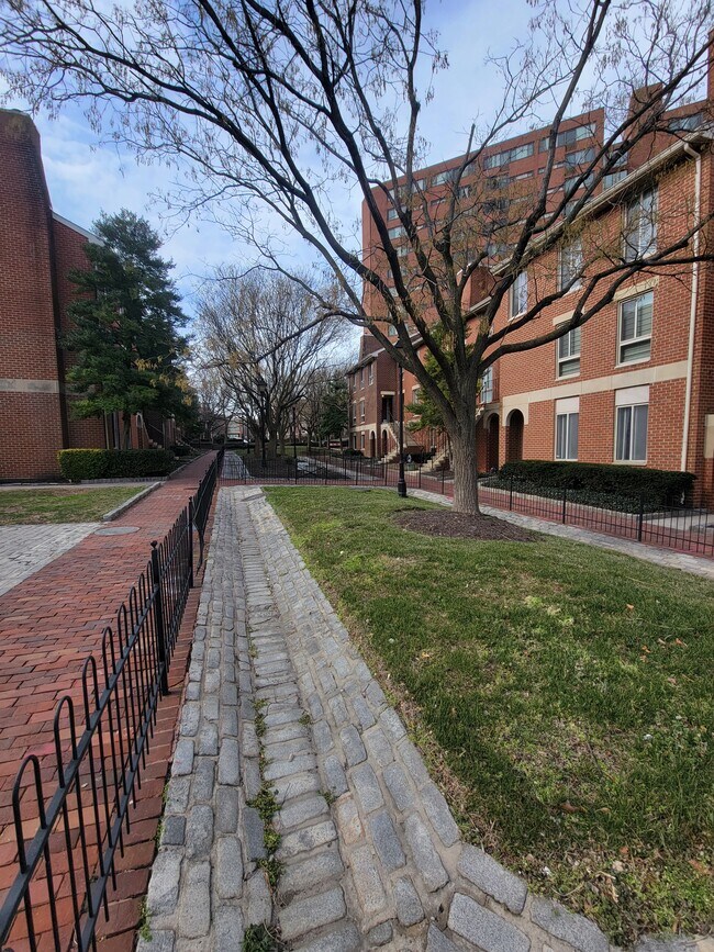 Courtyard - 23 Andrew Pl