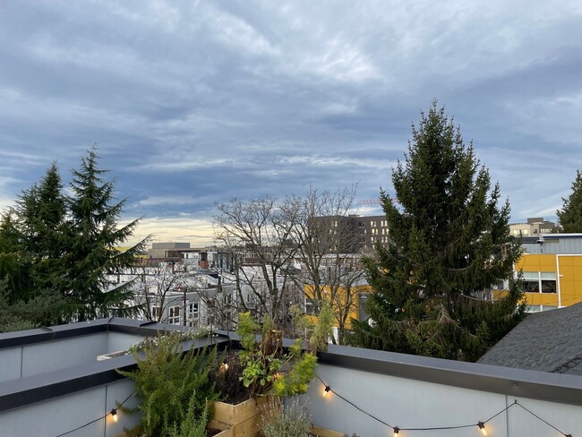 Building Photo - Beautiful Cap Hill 3 bed 2 bath View Townh...