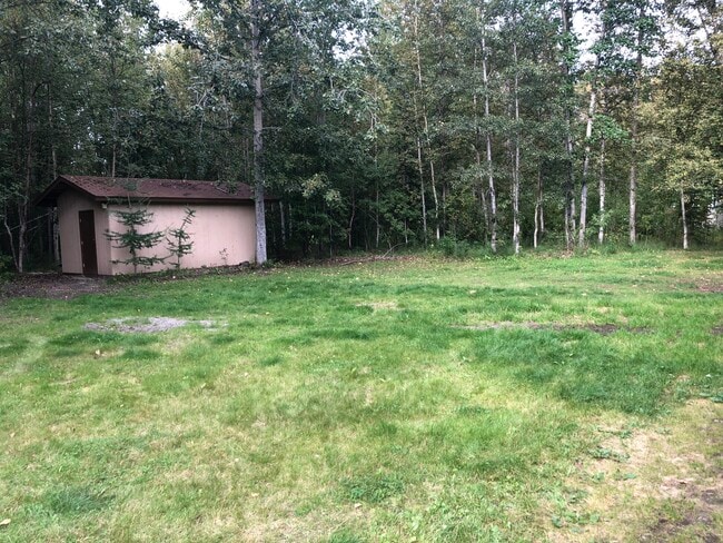 Back yard / storage shed - 801 w wilder ave