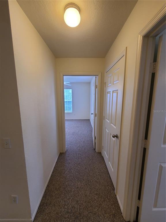 Building Photo - 5903 Willow Ridge Dr