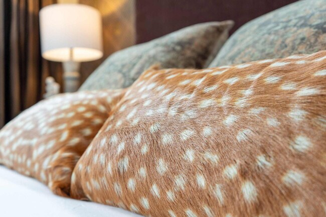 Building Photo - 87 Lucile St