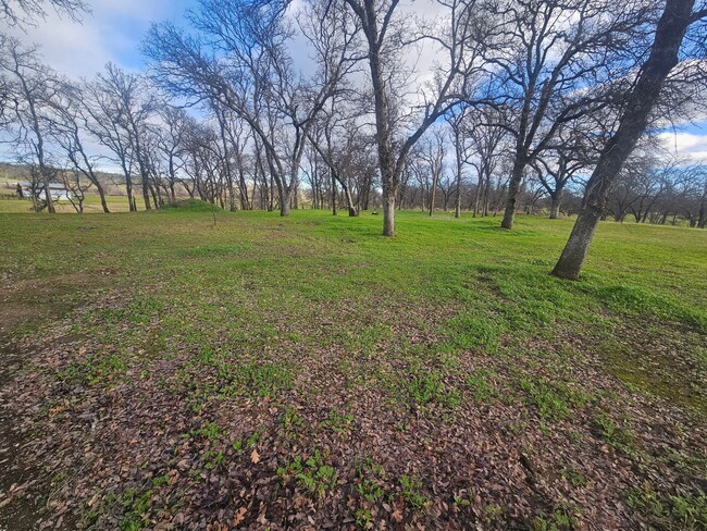 Building Photo - Spacious Home in the Country!