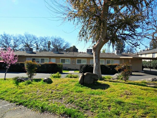 Building Photo - 1 bedroom 1 bath apartment