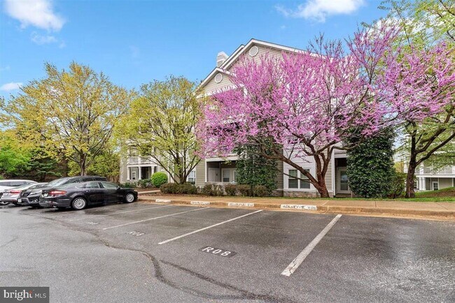 Building Photo - 1708 Lake Shore Crest Dr