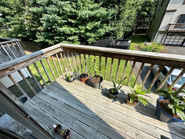 Building Photo - 15 Crest St