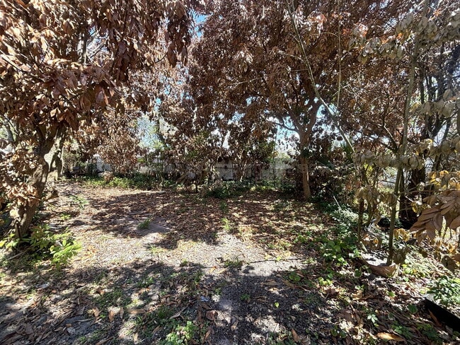 Building Photo - 531 Carlisle Ave