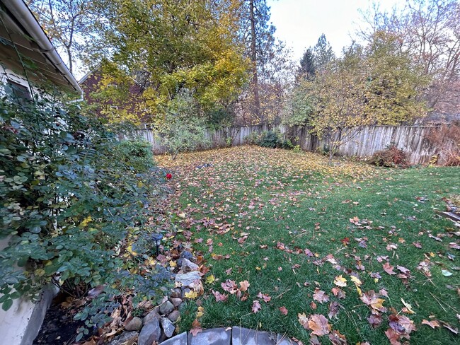 Building Photo - Charming South Hill Craftsman