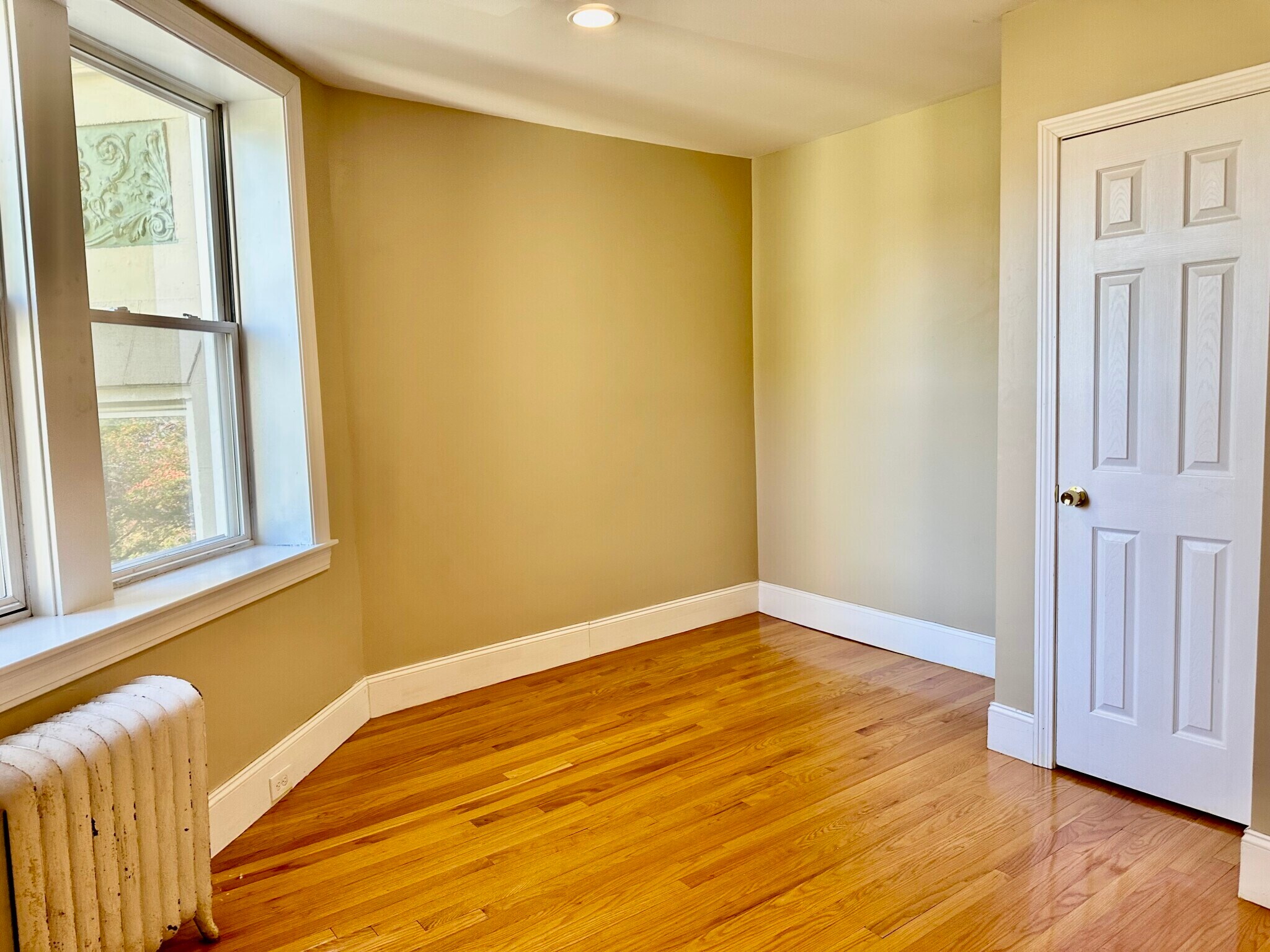 Building Photo - 74 Egmont St