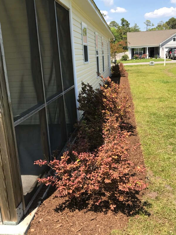 Building Photo - 4458 Maritime Oak Dr