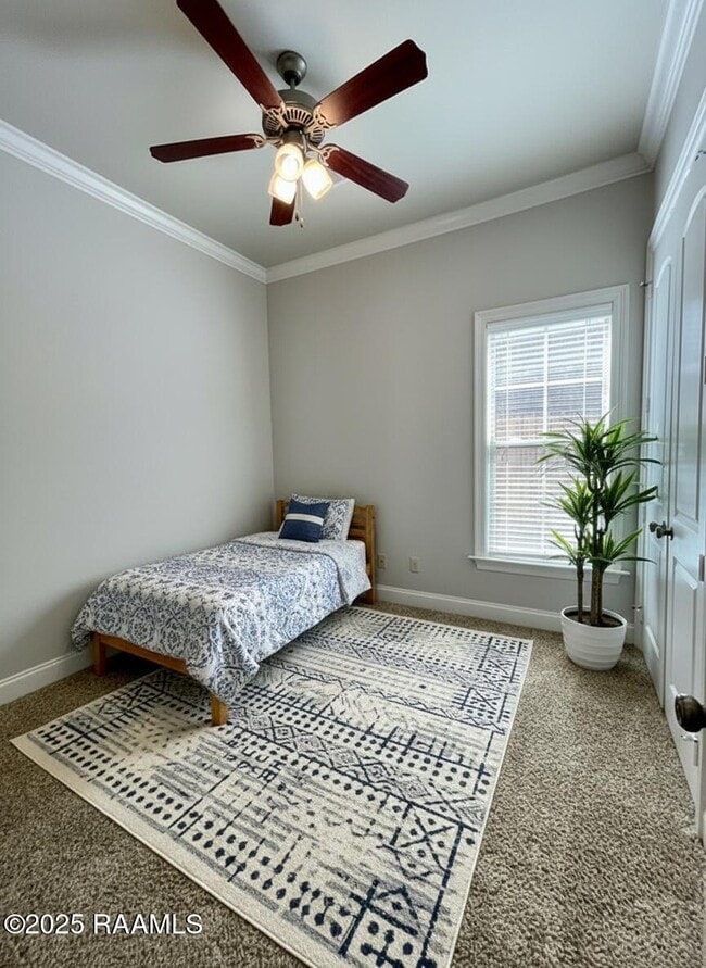 Building Photo - 218 Brightwood Dr