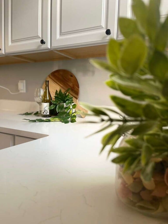 Building Photo - 645 Dumbarton Ave