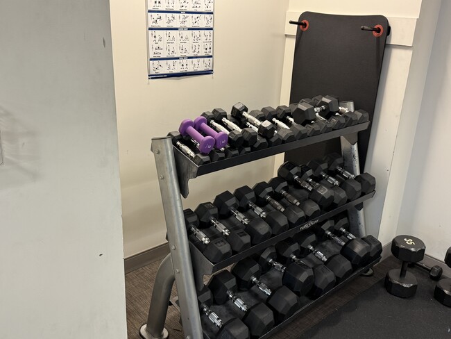 A fully equipped fitness center to meet all your workout needs. - 1655 N California Blvd