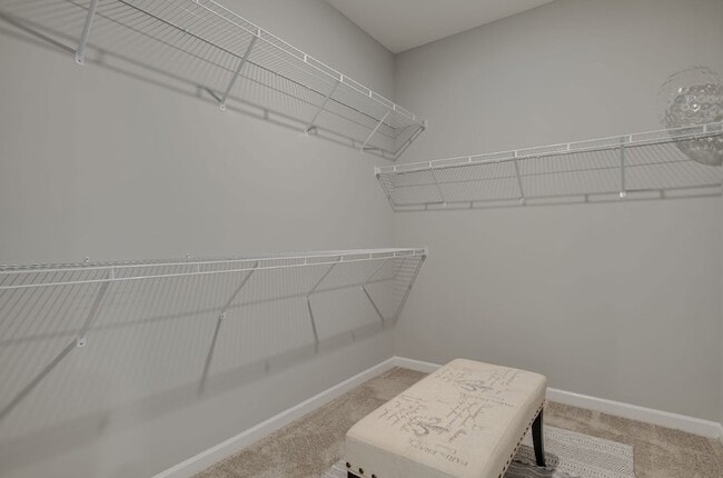 Building Photo - 5807 Shoreline Dr