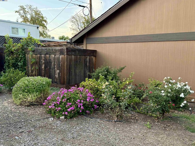 Building Photo - 10191 Yoshino Pl