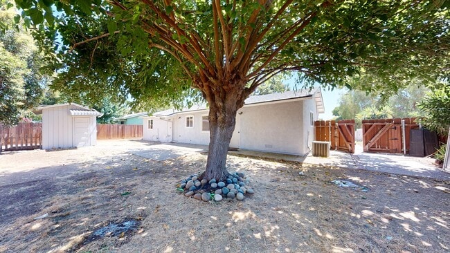 Rear Yard - 344 Knutson St