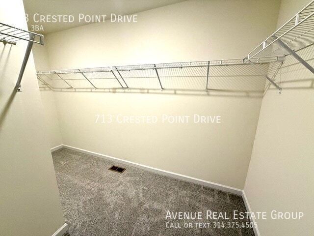 Building Photo - 713 Crested Pt Dr