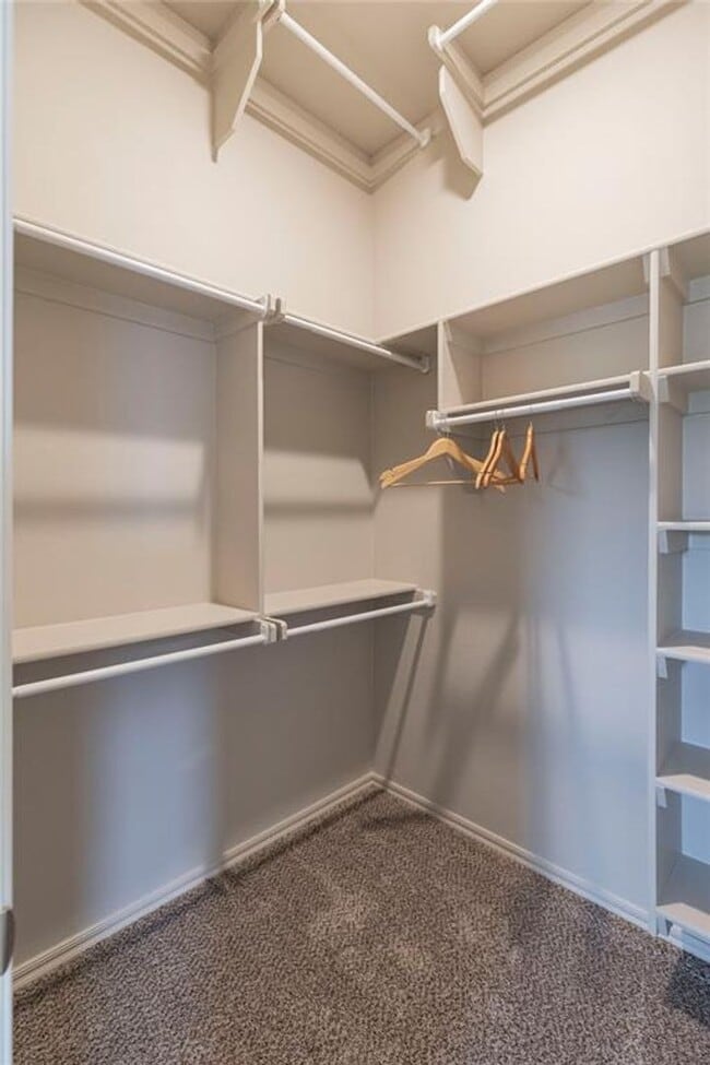 Building Photo - Stunning new home + 4 bedrooms + 3 bathroo...