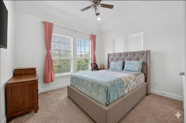 Building Photo - 4876 Connor Pl