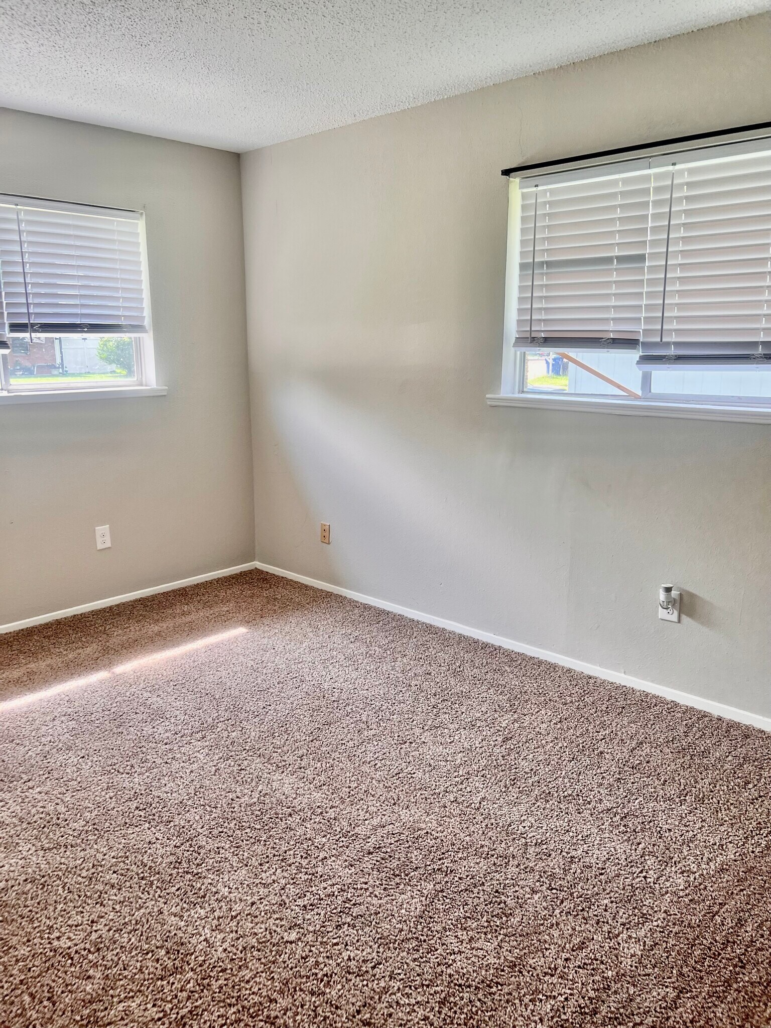 Building Photo - 311 Ivy St