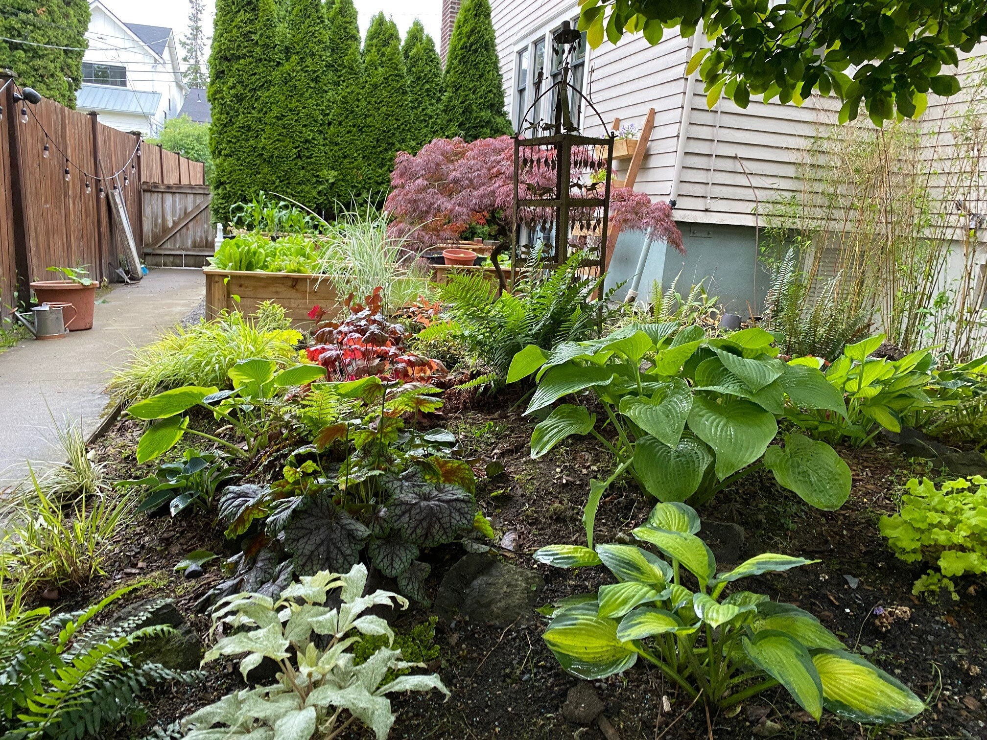 Side garden - 1637 N 53rd St