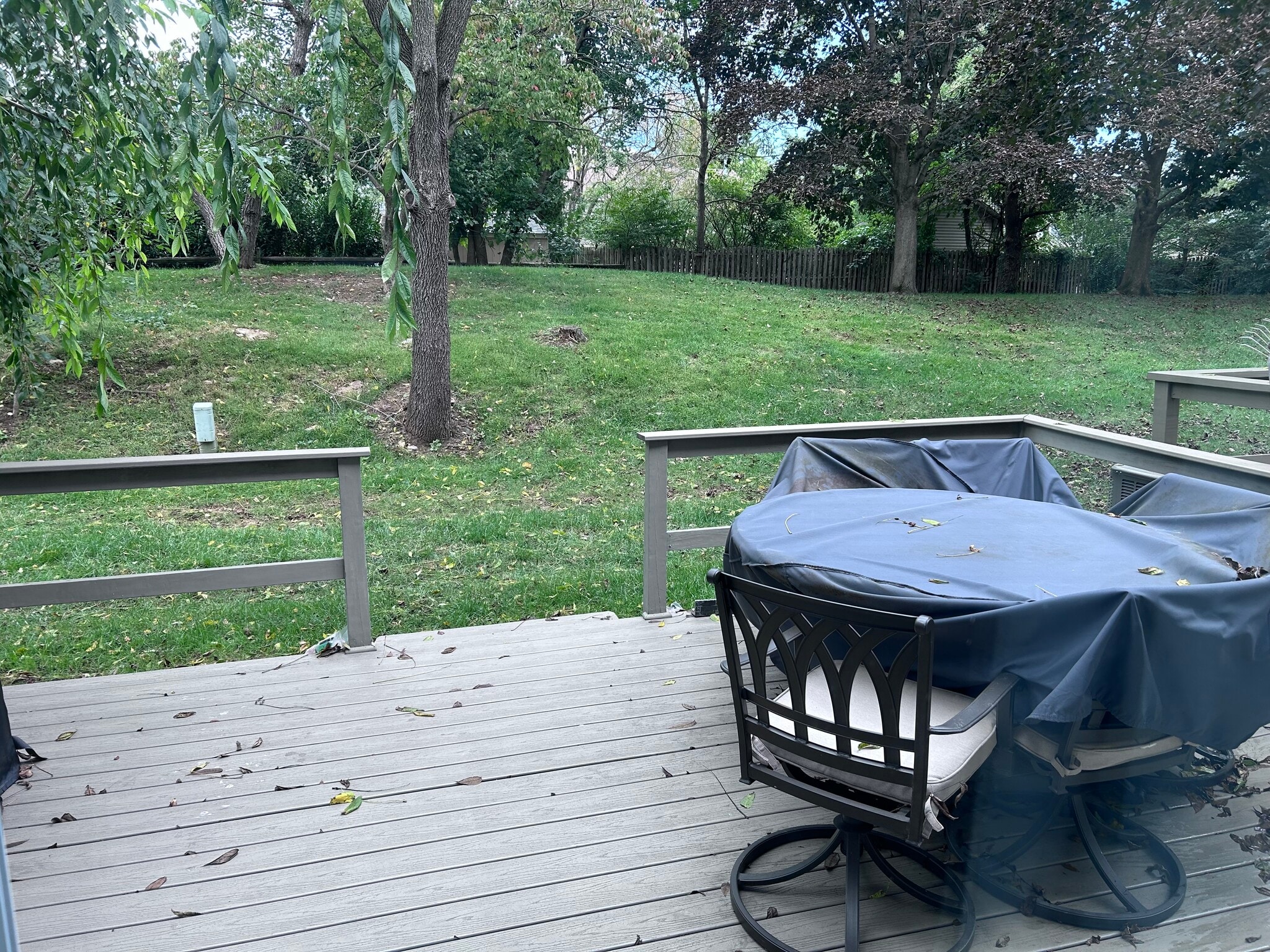 Backyard - 4708 Cara Ct