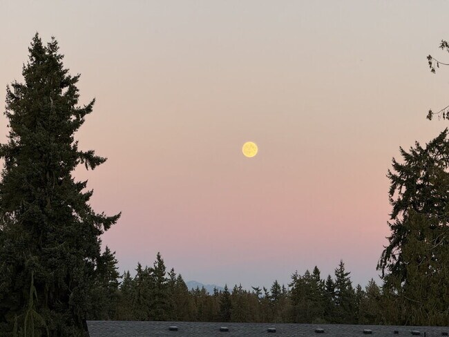 Building Photo - 19209 8th Ave W