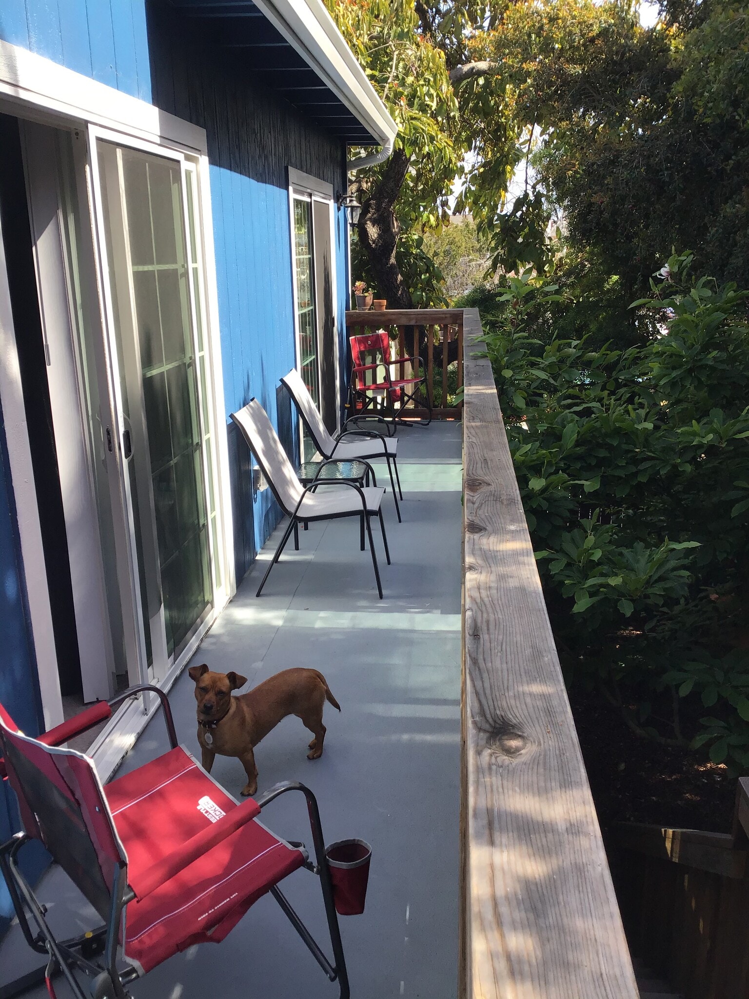 back balcony - 135 Bixby St