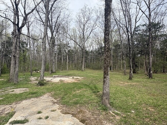 Building Photo - 3679 Rocky Glade Rd