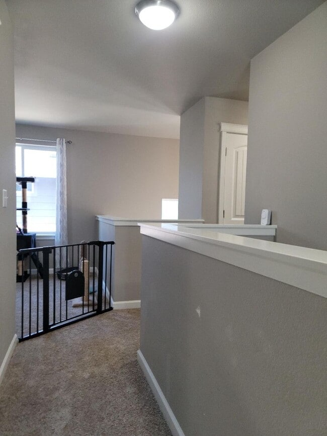 Building Photo - 3 Bedroom Home in Freestone at Bayside