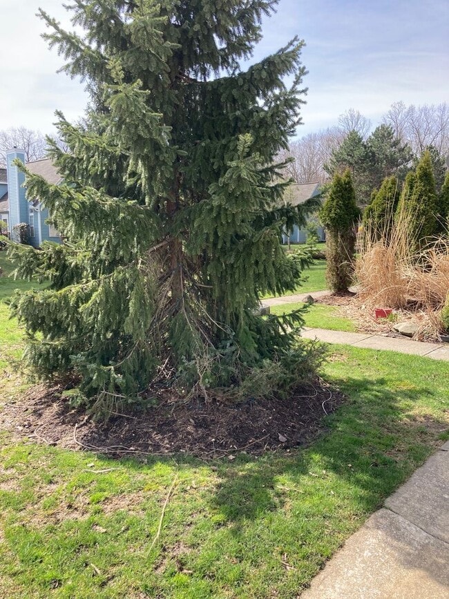 Building Photo - Condo for Rent Richmond Heights