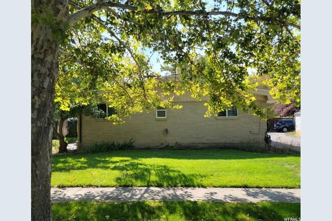 lawn facing Street - 922 S Lake St