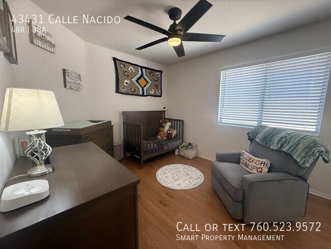 Building Photo - 43431 Calle Nacido