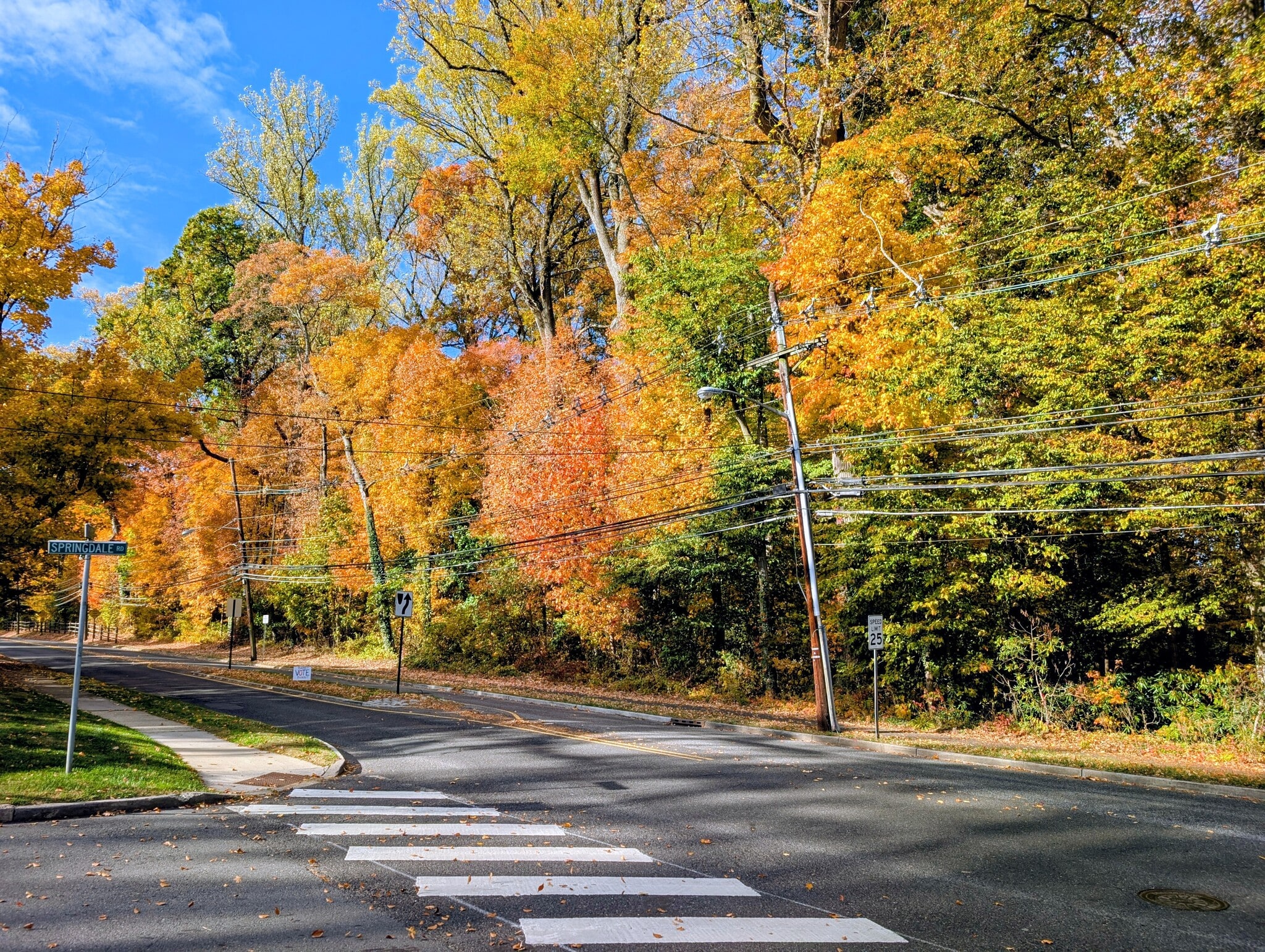 Building Photo - 156 Mercer St