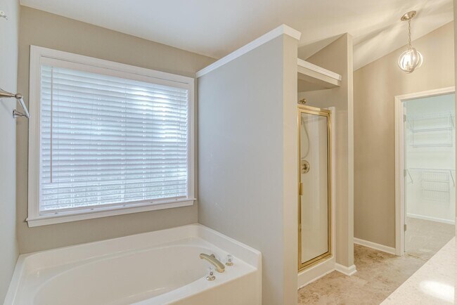 Building Photo - 1007 Brickstone Dr